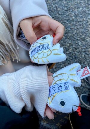 川越氷川神社の鯛みくじ