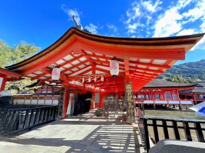 厳島神社の社殿と回廊