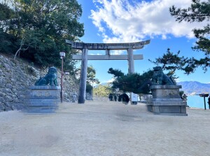 厳島神社の石大鳥居と立派な狛犬
