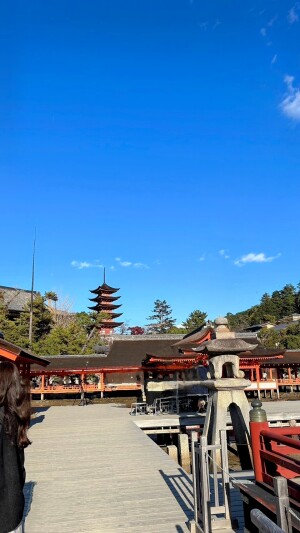 厳島神社の社殿と五重塔