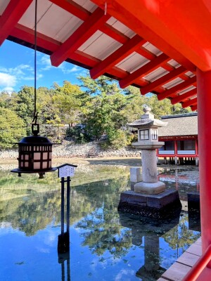厳島神社の社殿と水鏡
