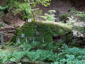 大嶽山那賀都神社の繭玉占い岩