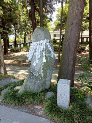 甲斐國一宮 浅間神社の子持石