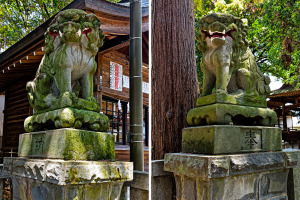 菅田天神社の狛犬