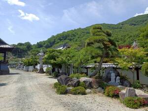 大蔵経寺境内から見上げた大蔵経寺山