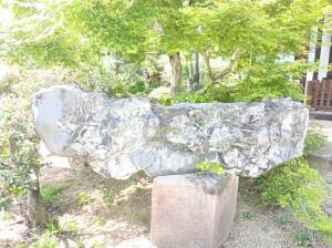 大蔵経寺の「菊花石」