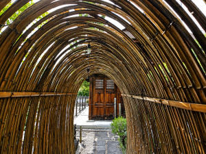 法蓋山 東光寺の竹のトンネル