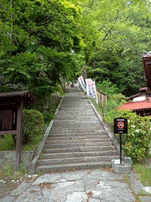 金櫻神社の参道の石段