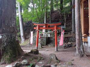 金櫻神社の金櫻稲荷神社