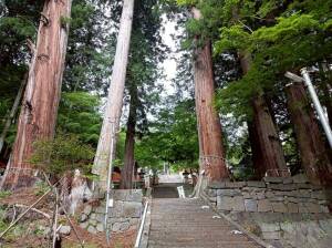 金櫻神社の「七本杉」