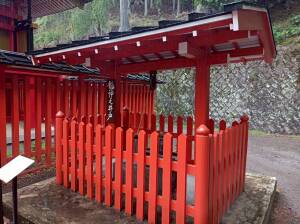 金櫻神社の龍神井戸