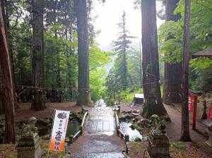 金櫻神社の雨の参道