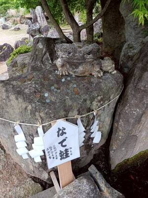 夫婦木神社 姫ノ宮のなで蛙