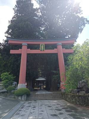 河口浅間神社の朱色の大鳥居