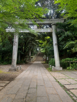 赤坂氷川神社の一の鳥居