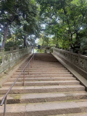 赤坂氷川神社の参道の石段