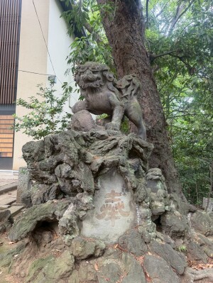 赤坂氷川神社の狛犬