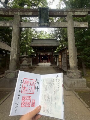 赤坂氷川神社の御朱印