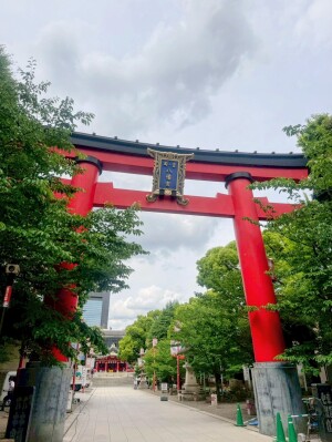 富岡八幡宮の大鳥居