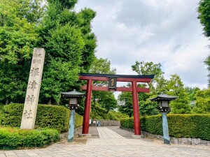 根津神社の表参道の鳥居
