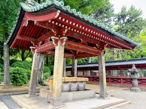 根津神社の手水舎