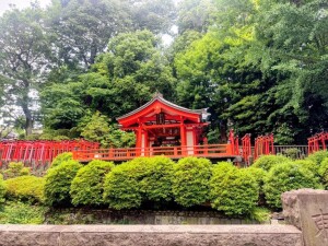 根津神社の「乙女稲荷神社と千本鳥居」