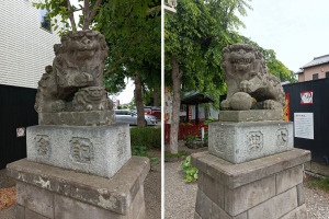 鴻神社の参道の狛犬