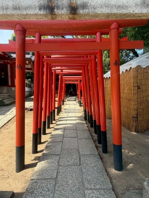 品川神社の阿那稲荷神社の鮮やかな朱色の千本鳥居