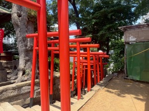 阿那稲荷神社の鮮やかな朱色の千本鳥居
