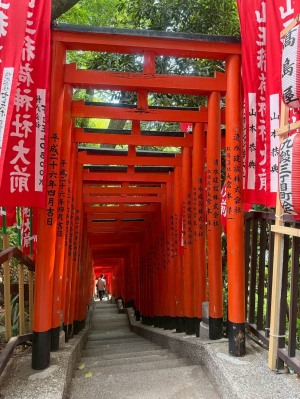 山王日枝神社の御朱印