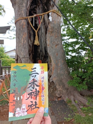 三ツ木神社の御朱印とご神木