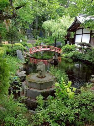 冨士山下宮小室浅間神社の神池