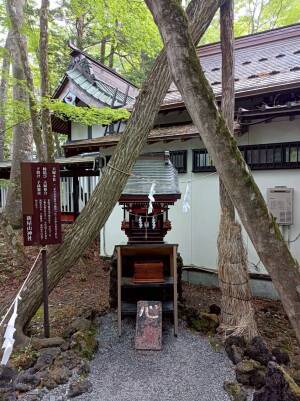 新屋山神社の夫婦木社