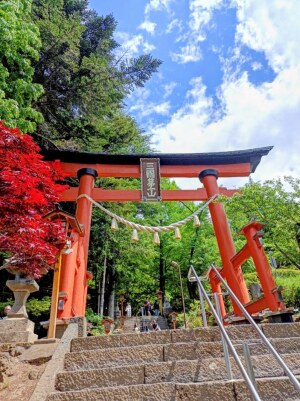 新倉富士浅間神社の表参道の鳥居
