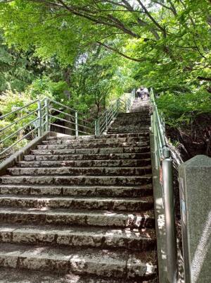 新倉富士浅間神社の「さくや姫階段」