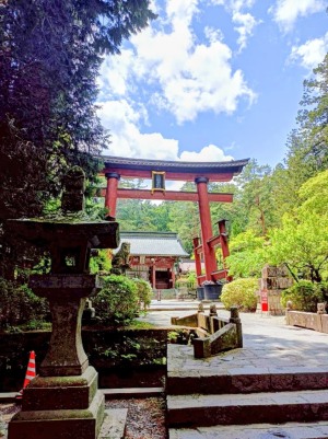 北口本宮冨士浅間神社の富士山大鳥居