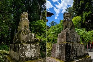 北口本宮冨士浅間神社の富士山大鳥居の狛犬