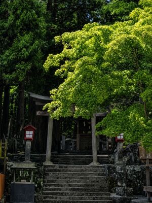 北口本宮冨士浅間神社の 富士山登山口の門「祖霊社」