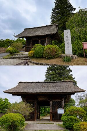 塩船観音寺の仁王門