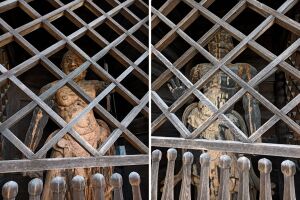 塩船観音寺の仁王像