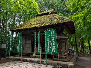 塩船観音寺の薬師堂