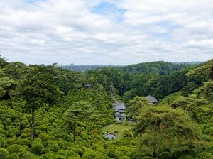 塩船観音寺の塩船平和観音立像からの眺望