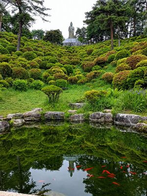 塩船観音寺の観音池