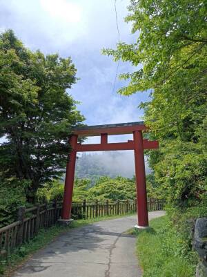 武蔵御嶽神社の参道の鳥居