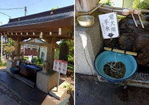 武蔵御嶽神社の手水舎