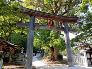 高麗神社の木製鳥居