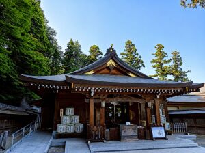 高麗神社の拝殿と奉納された多くの酒樽（出世開運のご利益スポット）