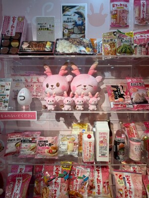 岩下の新生姜ミュージアム、ピンクのお土産がズラリと並ぶミュージアムショップ
