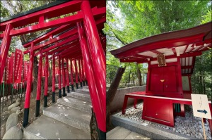 乃木神社の赤坂王子稲荷神社の千本鳥居