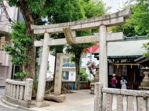 恵比寿神社の境内入り口の鳥居